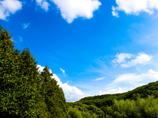 View of the sky and mountains through the trees in the forest.