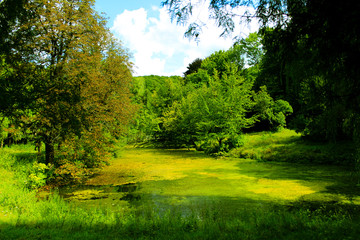 Fototapeta na wymiar Abandoned overgrown pond in an old abandoned park.