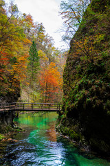 Inside of the Vintgar gorge , Slovenia