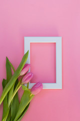 Pink tulips and white photo frame on a pink background. Flat lay, top view. Spring time background.