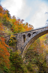 Fototapeta premium Autumn landscape in Vintgar gorge river, Slovenia