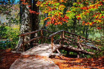Autumn landscape in Plitvice Natural Park