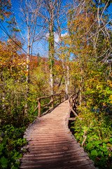 Obraz premium Autumn landscape in Plitvice Natural Park