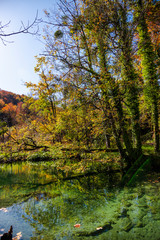 Autumn landscape in Plitvice Natural Park