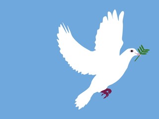 Cartoon white peace dove isolated on light blue background with an olive branch
