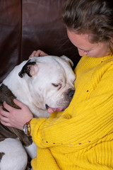 Girl holding Old English Bulldog, bulldog seems in love with the young woman