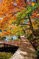 Fototapeta na wymiar Autumn landscape in Plitvice , croatia