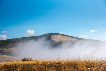 Morning fog on the hill