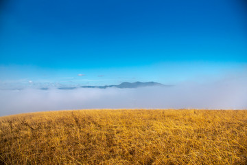 Morning fog on the hill