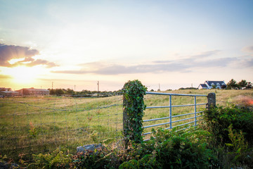 Fototapeta na wymiar Sunset Farm in Ireland