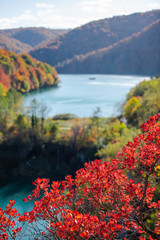 Naklejka premium Autumn landscape 