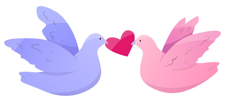 Vector illustration of doves in love with a heart in their beaks isolated on a white background.