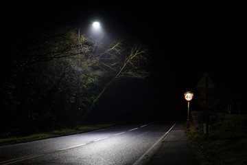 Trees and 40 mph speed limit sign under street lamp in UK