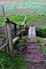 Small wooden foot bridge with railing over ditch in field in England