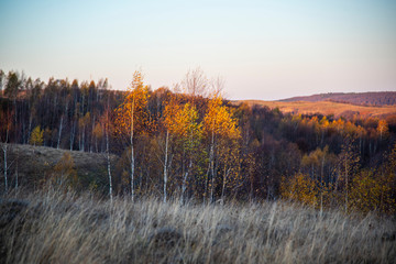 Obraz na płótnie Canvas Autumn landscape 