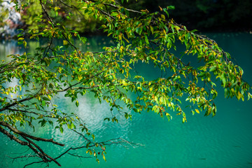 Inside of the Plitvice Park in gthe fall season