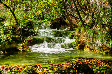 Inside of the Plitvice Park in gthe fall season