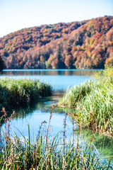 Inside of the Plitvice Park in gthe fall season