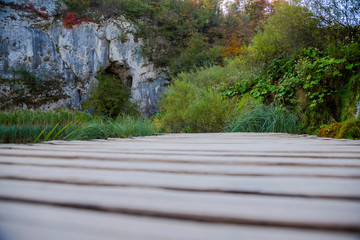 Fototapeta premium Alley in the park