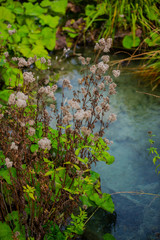 Autumn landscape in Plitvice Lakes Park, Croatia