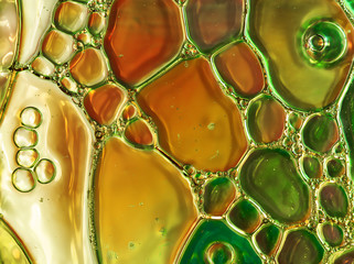 Oil and water abstract macro closeup background in gold and green