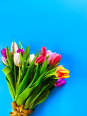 Spring flowers Tulip colorful festive  bouquet  on blue background  for valentine day  copy space 