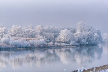 Winter wonderland