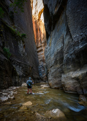 Woman Looks Up to Sunlight Trying to Break Into The Narrows