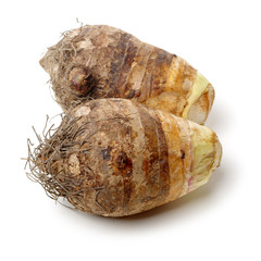 Taro on a white background