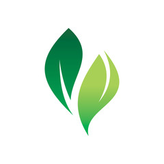 modern green leaf logo design