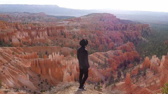 Tourist with black clothes look at hoodoos in Bryce Canyon National Park in Utah, United States of America - slow motion