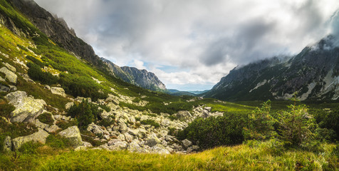 Fototapeta na wymiar Sunlit Mountain Landscape with Plants and Rocks. Mengusovska Valley, High Tatras, Slovakia