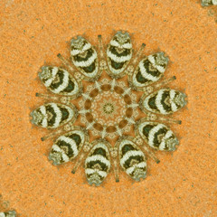 Kaleidoskop