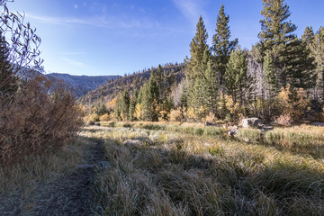 narrow hiking path along north creek in autumn