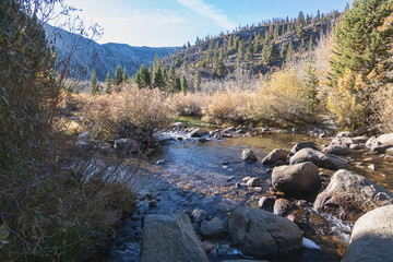 bishop creek flowing through forested hills and mountains