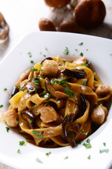 Tagiatelle pasta with creamy sauce with porcini mushrooms