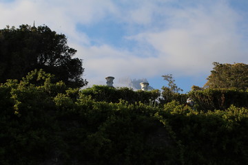 Obraz premium landscape with trees and clouds