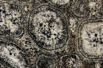 Stone texture and background. Rock mineral exclusive unique texture