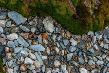 Moss and stones on the shore of Lake Roca