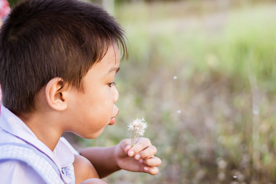 Portrait image of 5-6 years old of boy. Happy Asian child boy blowing a flower Dandelion flowers at the garden. Vintage style.