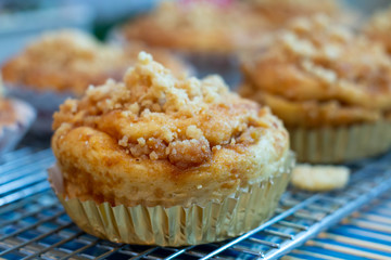  cinnamon danish in paper cup