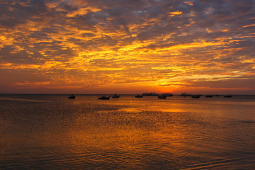 Fishing boats on the background of a golden sunset