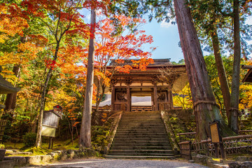 日本の秋 滋賀 湖東三山 西明寺⑰ 　Autumn in Japan, Shiga Prefecture, Koto-sanzan...