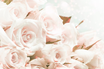 Natural floral banner background with pink roses and bokeh lights