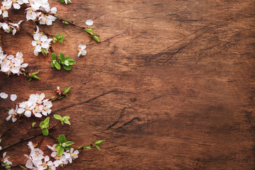 Spring blooming branches on wooden background. White Cherry blossoms top view, copy space