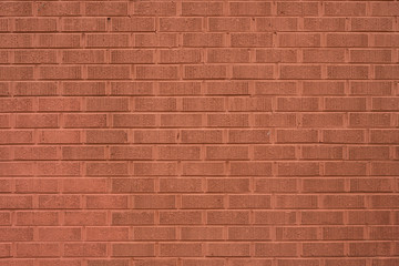 Brick Wall Natural Color
