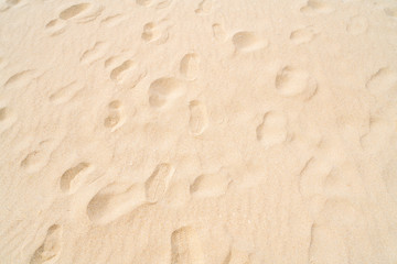 砂浜に残された足跡の写真