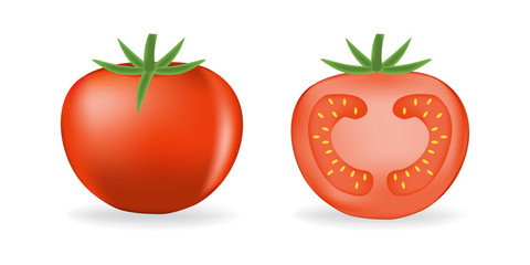 Tomato organic food photo-realistic vector illustration