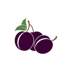 Plum logo vector icon design