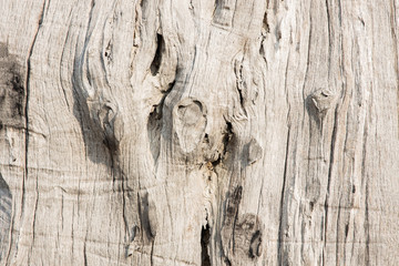 Brown wood texture background. wood texture with natural pattern